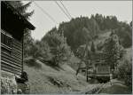 A Rochers de Naye Train by Crt-y-Bau.