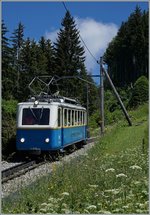 The Bhe 2/4 203 near Crêt d'y-Bau on the way to Montreux.
03.07.2016