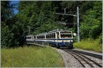 A Rochers de Naye local train by Le Tremblex.