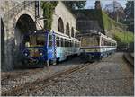 Rochers de Naye Beh 4/8 302 and 301 in Montreux.