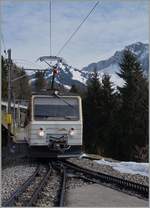 The Rochers de Naye Beh 4/8 305 in Caux.