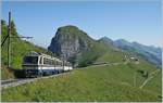 The Rochers de Naye Bhe 4/8 304 and 305 by La Perche on the way to Montreux.
