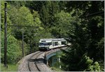 A GTW Be 2/6 from Les Avants to Montreux near Sendy Sollard.