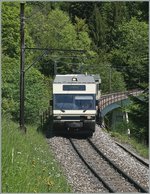 A CEV MVR GTW Be 2/6 from Les Avants to Montreux near Sendy Sollard. 
25.05.2016