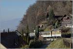 A GDE 4/4 with a MOB Belle Epoque train near Chernex.