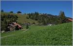 A MOB local train from Lenk im Simmental to Rougemont by Schönried.
30.09.2016