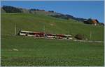 A MOB local train from Rougemont to Lenk im Simmental by Schönried.
30.09.2016  