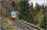 The MOB Panoramic Express near Les Avants.