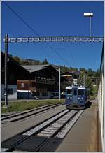 A MOB BDe 4/4 in Saanen.
30.09.2016