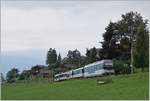 A MOB Alpina Local train to Zweisimmen near Les Avants.