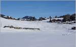 The IR 2118 GoldenPass MOB Panoramic from Montreux to Zweisimmen between Gruben and Schönried.