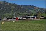 A MOB local train near Gstaad.