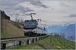 The MOB Ge 4/4 8001 with MOB Panoramic Service on the way to Zweisimmen near Planchamp. 12.03.202