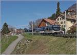 The MOB Ge 4/4 8001 wiht a Pamoramic Express on the way from Zweisimmen to Montreux by Planchamp.