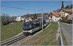 The Ge 4/4 8001 wiht the MOB Panoramic Express on the way to Montreux by Plachamp.