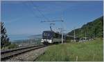 The MOB GDe 4/4 6005 with his PE 2122 from Montreux to Zweisimmen by Sonzier.