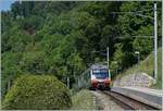 A MOB  Lenkerpendel  (Bt - Be 4/4 Serie 5000 - ABt) on the way to Montreux by Sonzier .