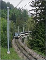 The MOB Ge 4/4 8004 with the  new  MOB Golden Pass Panoramic between Les Avants and Chamby.