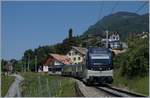 The MOB Golden Pass Belle Epoque Service on the way to Zweisimmen by Planchamp.

18.05.2020