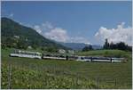 A MOB Golden Pass Panoramic on the way to Zweisimmen near Planchamp.