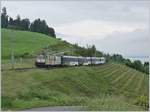 The MOB GDe 4/4 6006 with a MOB Panoramic Express on the way to Zweisimmen by Planchamp,    13.05.2020