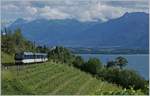 The MOB Ge 4/4 8002 with his MOB Golden Pass Panoramic on the way to Zweisimmen between Châtelard VD and Planchamp.