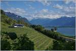 A CEV MVR ABeh 2/6 on a local service between Montreux et Chernex in the vineyards by Planchamp.