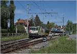 The MOB GDe 4/4 6006 with a Panoramic Express on the way to Zweisimmen by Fontanivent. 

08.05.2020