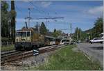 The MOB GDe 4/4 6003 with his Panoramic Express from Montreux to Zweisimmen in Fontanivent.