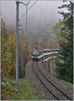 The MOB Ge 4/4 8001 with a local service from Zweimmen to Montreux near Sondy-Sollard.