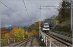 A MOB Alpina local service from Zweisimmen to Montreux is arriving at the Chamy station. 

24.10.2020