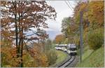 The MOB Alpina Be 4/4 9203 (and an other one on the end of the train) wiht a local train service from Montreux to Zweisimmen near Sendy-Sollard. 28.10.2020