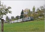 The MOB GDe 4/4 6002 wiht a Panoramic Express from Montreux to Zweisimmen near Les Avants.