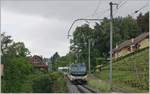 The MOB Ge 4/4 8004 with a Panoramic Express on the way to Zweisimmen by Plachamp. 

14.05.2020