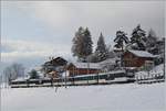 The MOB Ge 4/4 8004 and the MOB Alpina Be 4/4 9202 with the MOB local Service from Zweisimmen to Montreux by Les Avants.