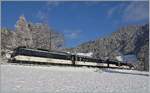 The MOB Ge 4/4 8001 with the MOB GoldenPass Panoramic PE 2118 from Montreux to Zweisimmen by Les Avants.