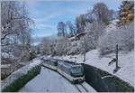 The MOB Ge 4/4 8001 wiht his MOB GoldenPass Panoramic on thew way to Zweisimmnen by Sonzier.