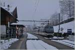 The MOB Goldenpass Panormaic PE 2115 from Zweisimmen to Montreux by his stop in Les Avants. 06.12.2020