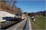 The MOB GDe 4/4 6006 with his MOB Golden Pass Panoramic is by Les Scierens on the way from Zweisimmen to Montreux.