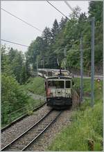 The MOB GDe 4/4 6006 wiht a MOB Golden Pass Panoramic near Sendy-Sollard. 

16.05.2020