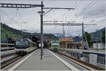 The MOB Ge 4/4 8002 and a BLS NINA in Zweisimmen. 

19.08.2020

