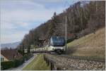 The MOB Ge 4/4 8002 wiht the GoldenPass Belle Epoque PE 2224 from Montreux to Zweisimmen by Chernex.