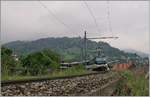 The Ge 4/4 8004 with a MOB Panoramic Express on the way to Zweisimmen by Sonzier.