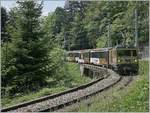 The MOB GDe 4/4 6003 wiht a MOB Panoramic Express from Montreux to Zweisimmen near Sendy Sollard.