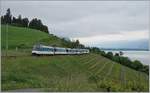 A MOB Panoramic Express on the way to Zweisimmen by Planchamp.
