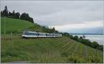 A MOB Panoramic Express on the way to Zweisimmen by Planchamp. 

14.05.2020