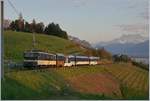 The MOB GDe 4/4 6004  Interlaken  wiht a MOB GoldenPass Service by Planchamp. 

11.04.2020