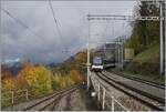 A MOB  Alpina  Service on the way to Montreux is arriving at the Chamby Station. 

24.10.2020
