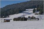 A MOB local train by Flendruz on the way from Montreux to Zweisimmen.

03.12.2021 