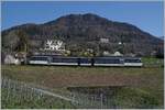 The MOB / MVR / CEV ABeh 2/6 7501 on the way to Montreux by Planchamp. 

17.03.2020